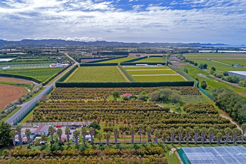 341 Wharerata Road, Matawhero, Gisborne - Carousel 2