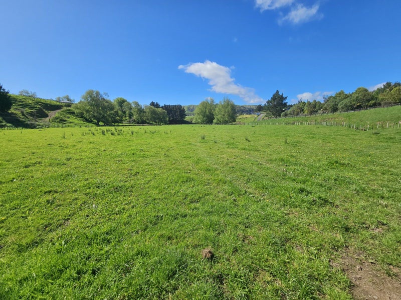 9 Buckley Road, Shannon, Palmerston North - Carousel 1
