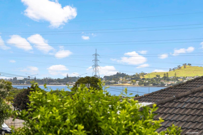 1/2 Pleasant Street, Onehunga, Auckland - Carousel 2