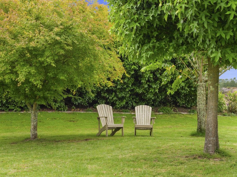 7C WALTER HENRY DRIVE, Western Bay Of Plenty - Carousel 24