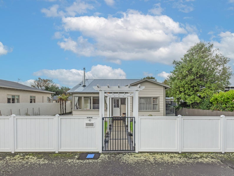 43 Knowles Street, Terrace End, Palmerston North - Carousel 2