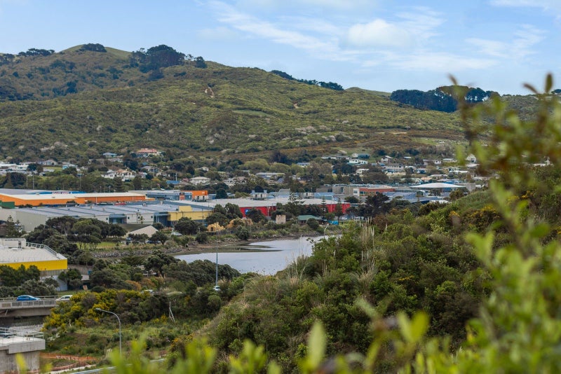 134 John Burke DR, Aotea, PORIRUA - Carousel 18