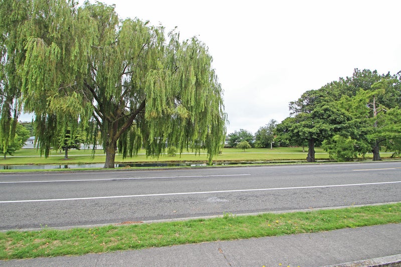 2 Morse Street, Marewa, Napier - Carousel 2