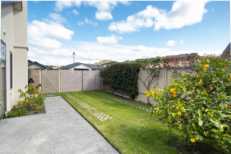 12 Malbec Way, Greenmeadows, Napier - Carousel 21