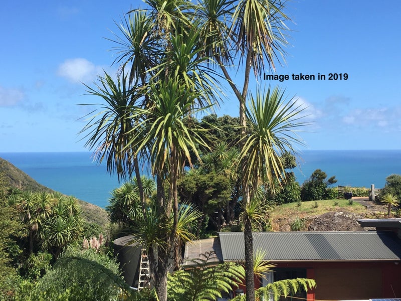 105 Piha Road, Piha, Piha - Carousel 6