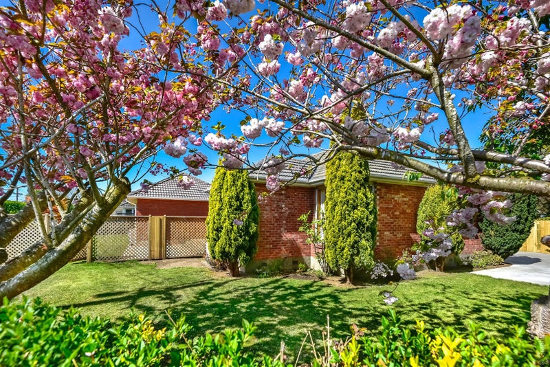 50 Guildford Street, Burnside, Christchurch - Carousel 2