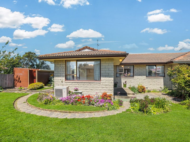 17A Castile Place, Belfast, Christchurch - Carousel 1