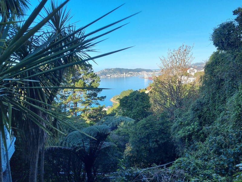 144 Nicholson Road, Khandallah, Wellington - Carousel 14