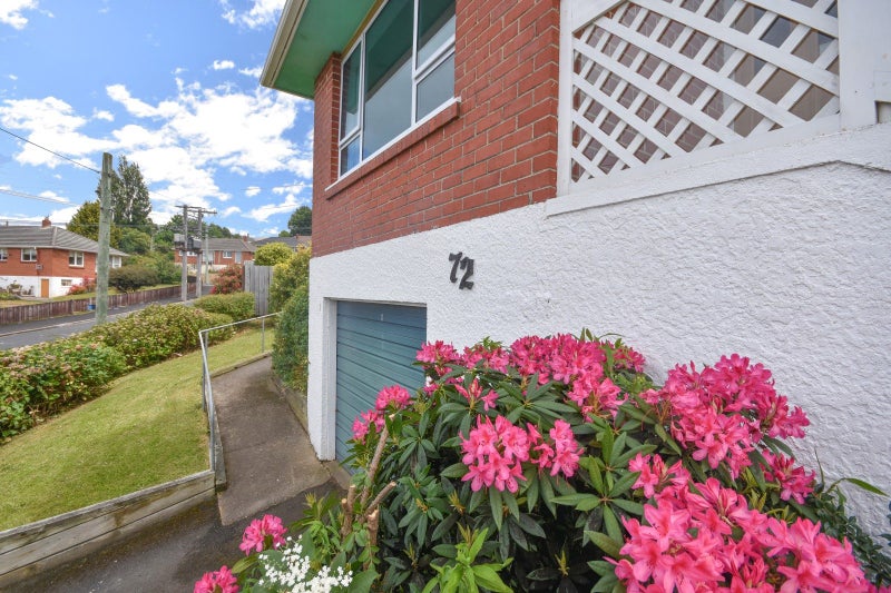 72 Wray Street, Brockville, Dunedin - Carousel 18