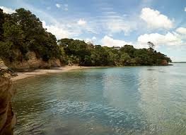 101 Island Bay Road, Beach Haven, Auckland - Carousel 2