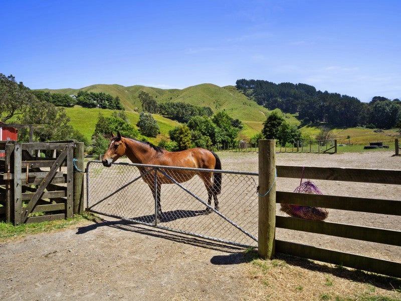 471B Paekakariki Hill Road, Porirua - Carousel 26