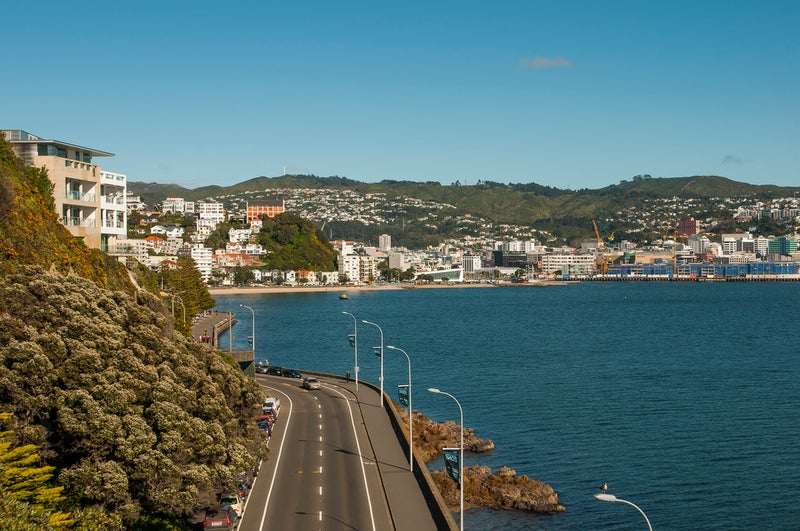 8 Carlton Gore Road, Roseneath, Wellington - Carousel 17