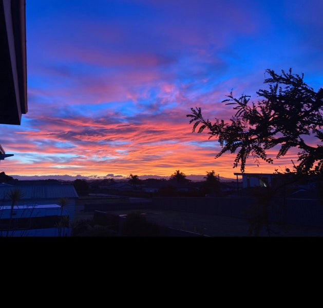 214 Te Awa Avenue, Awatoto, Napier - Carousel 39