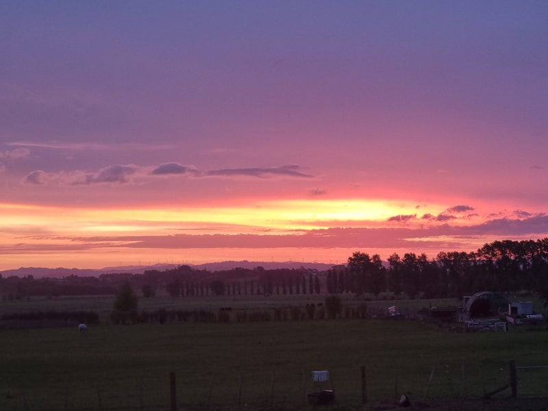 10 O'Brien Road, Rotokauri, Hamilton - Carousel 2