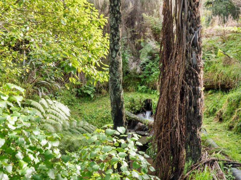 225C Woodland Road, Katikati - Carousel 33