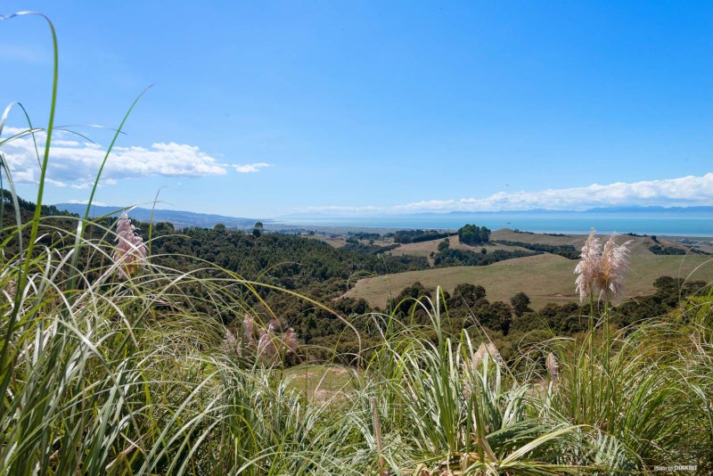 149A Rataroa Road, Pūkorokoro / Miranda, Kaiaua - Carousel 2