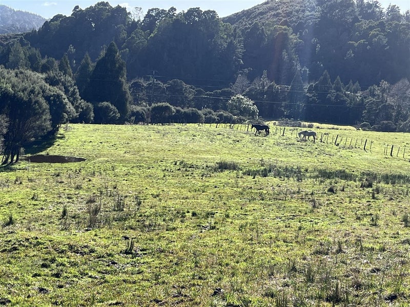 1878 The 309 Road, Kaimarama, Whitianga - Carousel 25