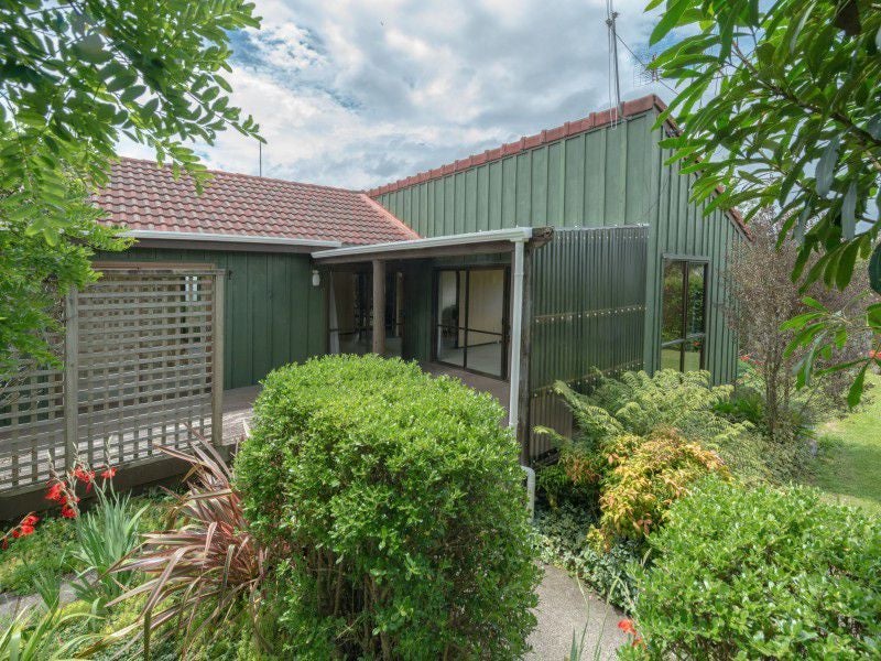 29 Bailey Avenue, Claudelands, Hamilton - Carousel 18