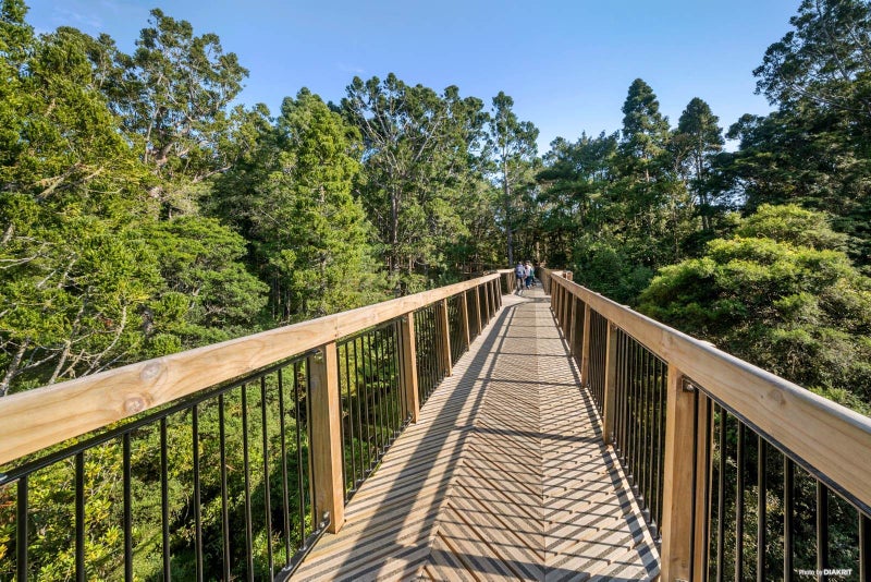 35 Raymond Terrace, Northcote, Auckland - Carousel 2