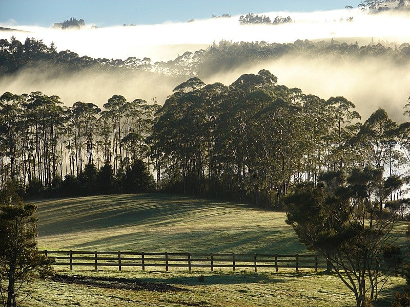 292 Onekura Road, Waipapa - Carousel 1