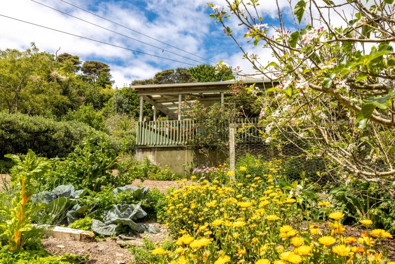 17 Albert Crescent, Ostend, Waiheke Island - Carousel 2
