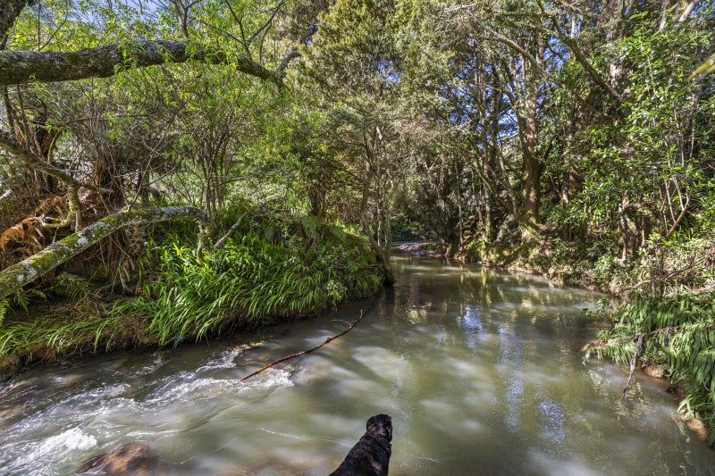 1058 Old Mountain Road, Waitetuna, Raglan - Carousel 32