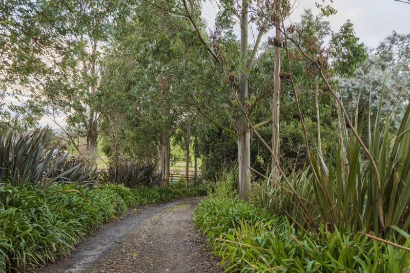 101 Racecourse Road, Waipukurau, Waipukurau - Carousel 29