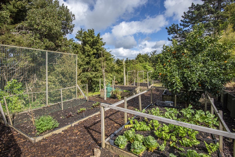 1799 State Highway 14, Whangarei - Carousel 17