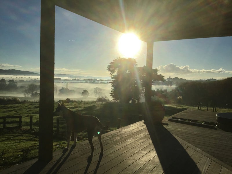 197 Pukenui Road, Kaiwaka - Carousel 21