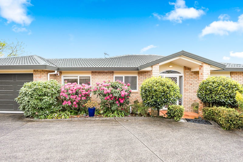 8A Benders Avenue, Hillcrest, Auckland - Carousel 1