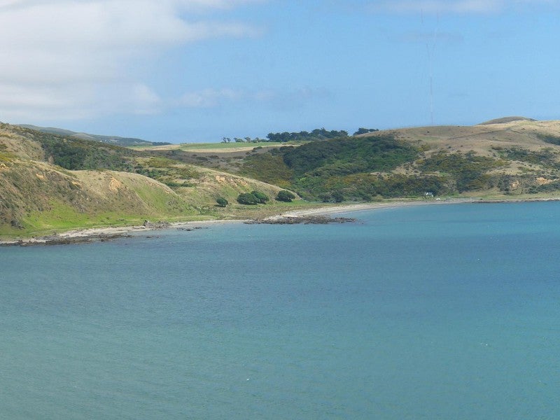 109 Pope Street, Camborne, Porirua - Carousel 26