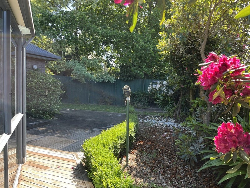 10E Grange Street, Hillsborough, Christchurch - Carousel 18