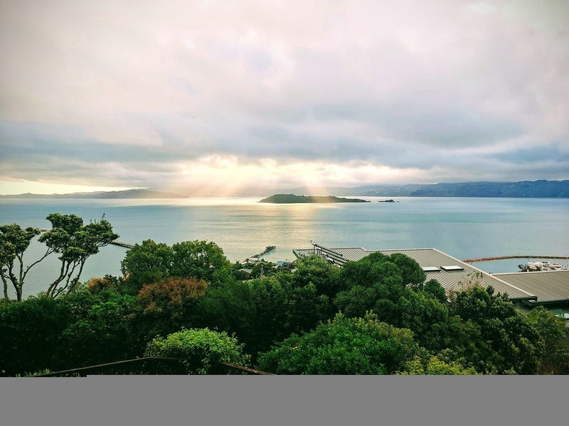 8D Nikau Road, Point Howard, Lower Hutt - Carousel 10