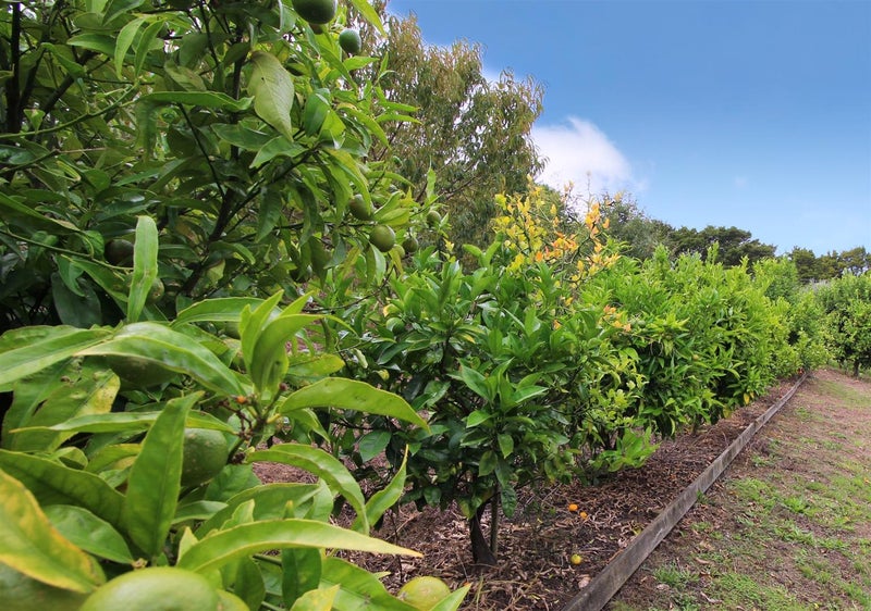 57 Tawhai Place, Parahaki, Whangarei - Carousel 21