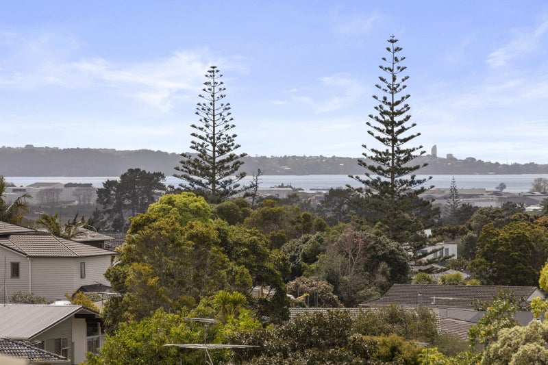16 Manhattan Heights, Glendene, Auckland - Carousel 27