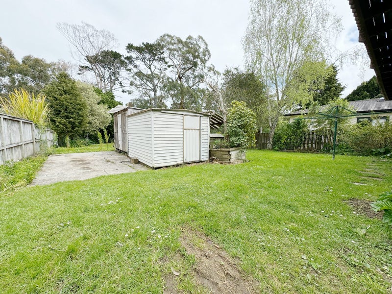 29 Belfast Street, Hillsborough, Auckland - Carousel 22