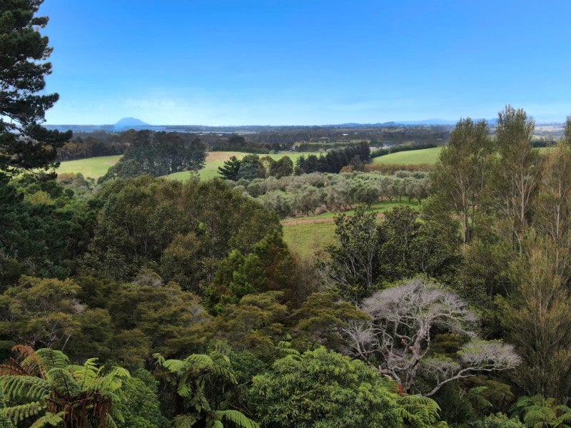 189 Thompsons Track, Katikati - Carousel 33