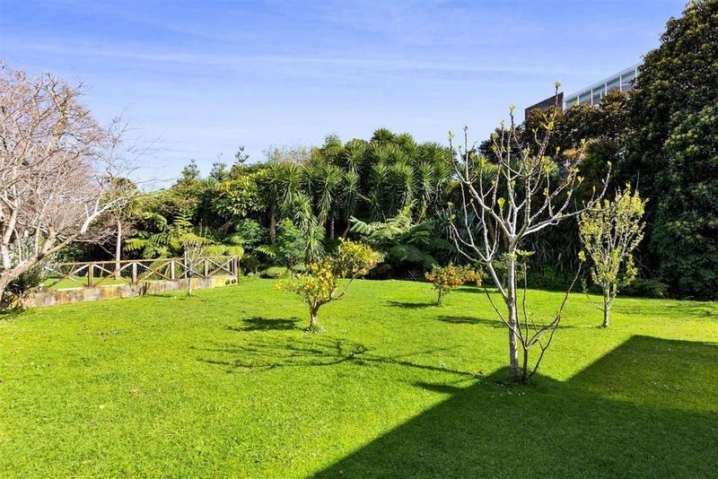 50/50A Gaine Street, New Plymouth - Carousel 17