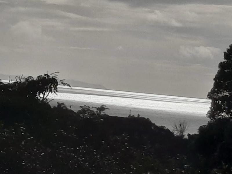 2/3 Rahopara Street, Castor Bay, Auckland - Carousel 14