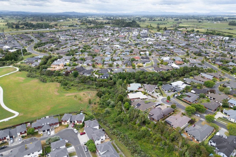 7 Buchanan Place, Huntington, Hamilton - Carousel 26