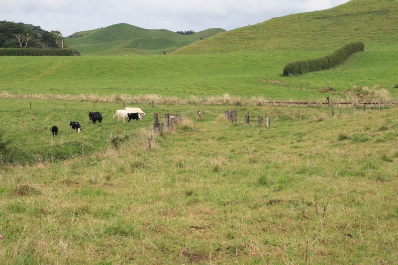 991 East Road, Toko, Stratford - Carousel 31