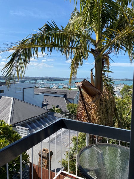 1C Caroline Street, Saint Marys Bay, Auckland - Carousel 7