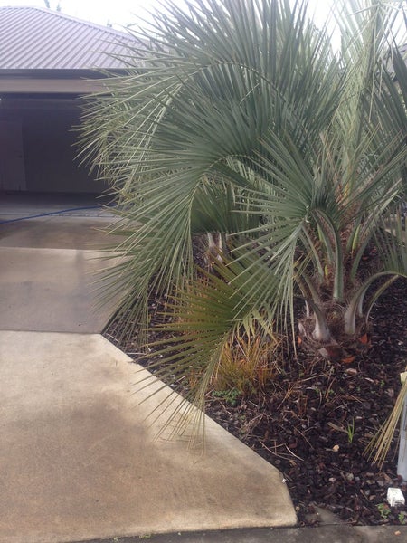 126C Clarkin Road, Fairfield, Hamilton - Carousel 9