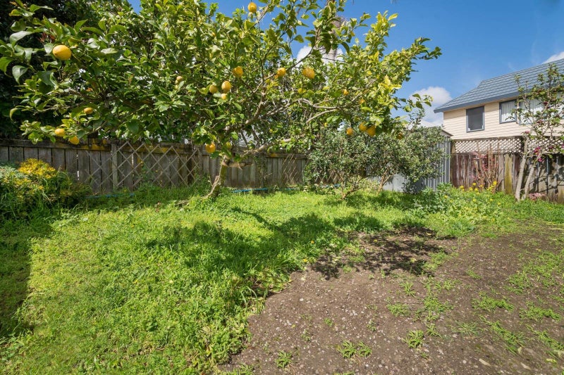 45A Morningside Drive, Mount Albert, Auckland - Carousel 13