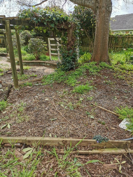 41 Invermay Avenue, Mount Roskill, Auckland - Carousel 15