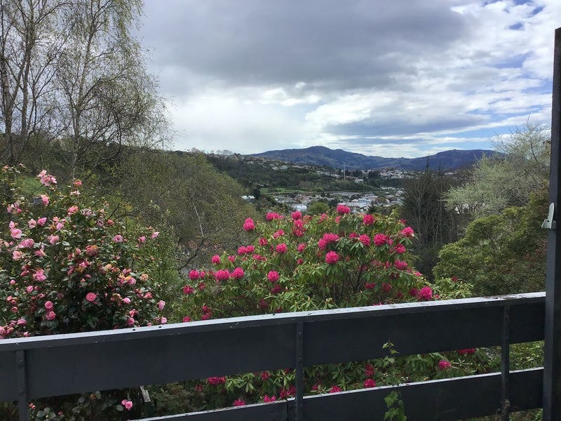 23 Corstorphine Road, Corstorphine, Dunedin - Carousel 12