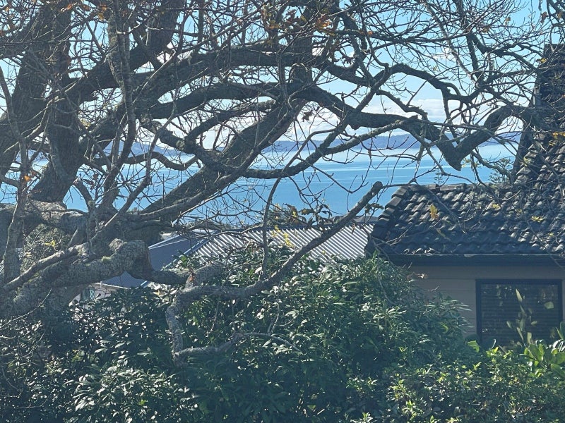 3 View Road, Shelly Park, Auckland - Carousel 26