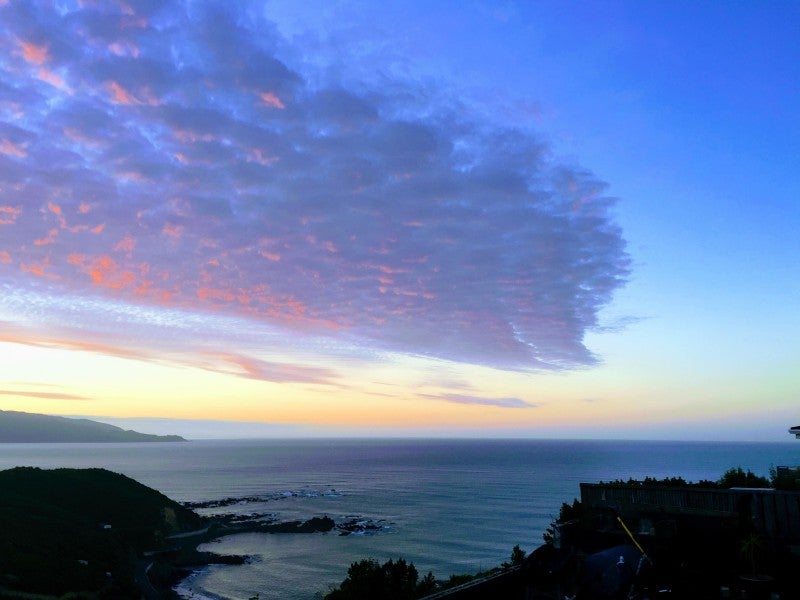 139 Buckley Road, Southgate, Wellington - Carousel 20