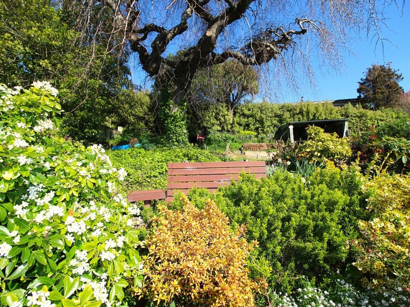 5 Till Street, South Hill, Oamaru - Carousel 18