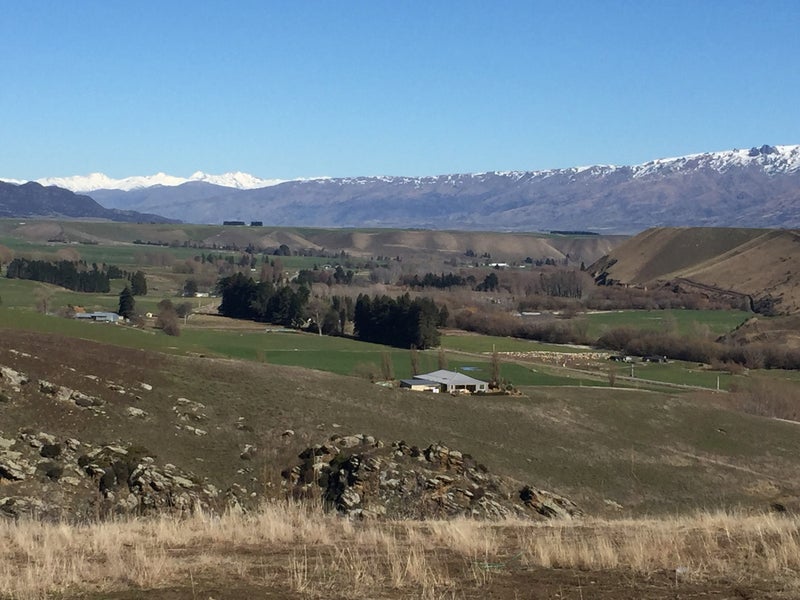 89 Ruffell Road, Tarras - Carousel 17